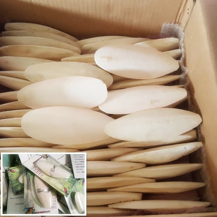 Cuttlebone Pet Supplies - Naturally Desalted Cuttlebone for Reptiles, Teeth Grinding Supplies, Bird Toys, Bird Food.