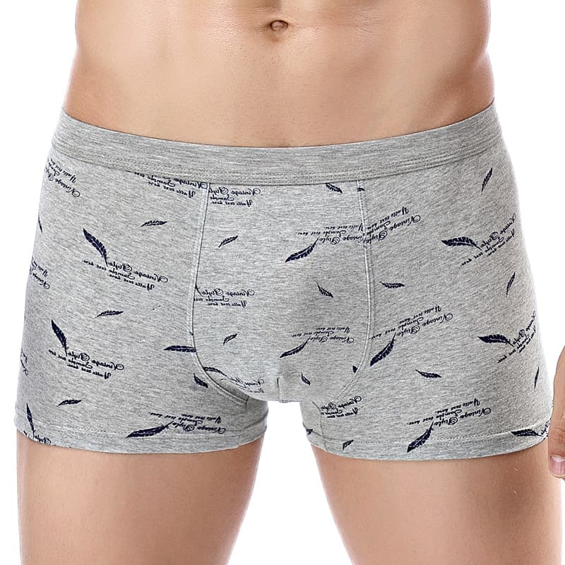 Printed Cotton Men's Underwear, Cotton U-Shaped Pouch Boxer Briefs, Mid-Rise Men's Printed Boxer Shorts Wholesale