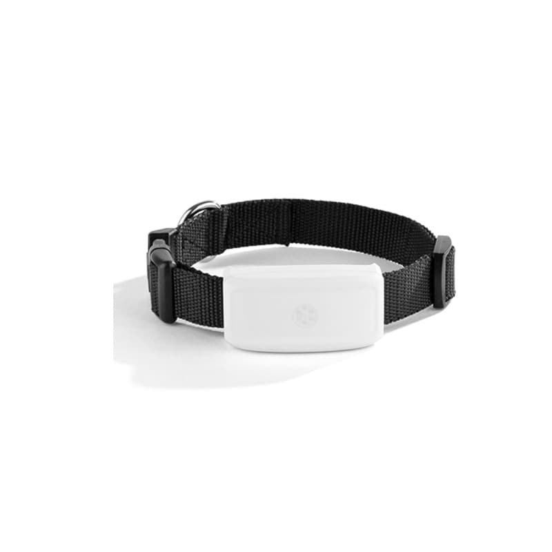 WiFi+GPS+LBS positioning adsorption charging TK911 pet cat and dog GPS tracking locator