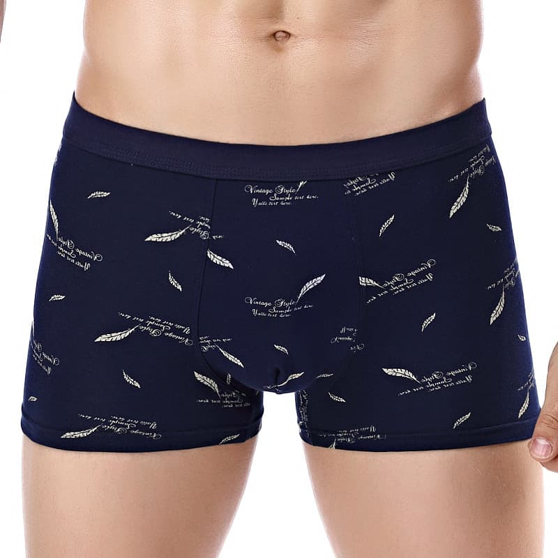Printed Cotton Men's 3D Briefs Cotton Boxer Briefs Cotton Men's Printed Boxer Briefs Factory Wholesale
