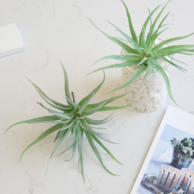 Faux Tillandsia Air Plant Fake Succulent Artificial Air Grass Home Decoration Green Plant Wall Fake Flower Succulent Accessories