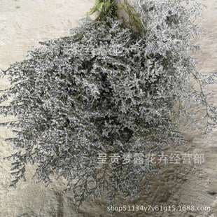 Dried Love Grass, Love Grass Dried Flower Wholesale, Yunnan Dried Flower Wholesale, Love Grass, Preserved Love Grass