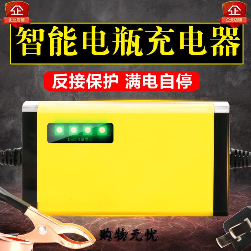 12V 2A Fully Intelligent Lead-Acid Battery Charger with Pulse Repair, Universal for Electric Motorcycles