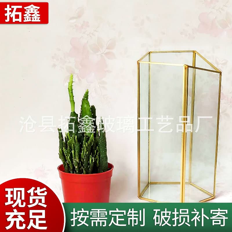Manufacturer's Five-Sided Geometric Micro-Landscape Transparent Glass Vase for Succulent Plants, Eco-Friendly Creative Flower Pot and Flower Vessel