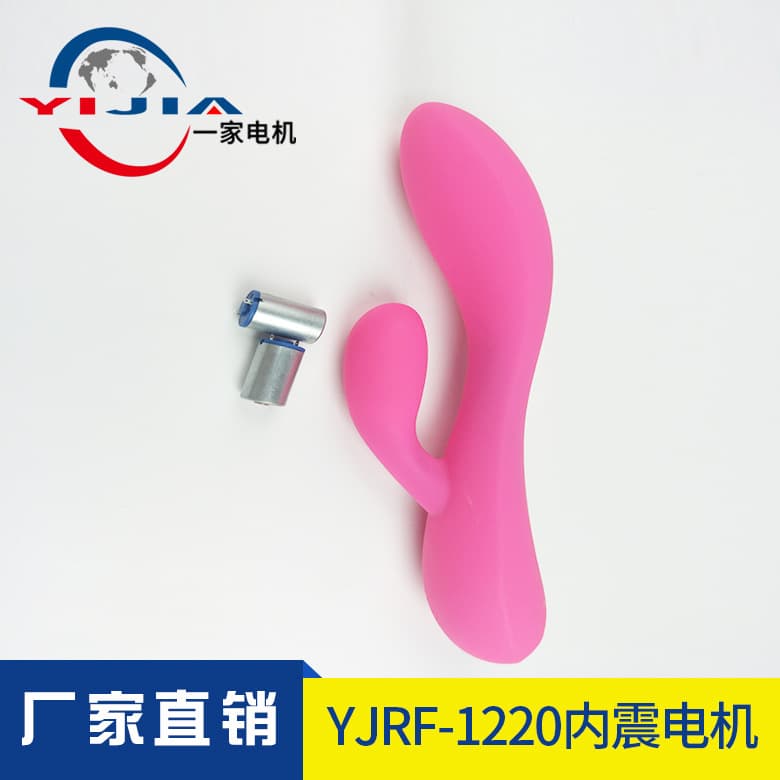 Low Noise Internal Vibration Motor 1220 Health Care Internal Vibration Motor Egg DC Vibrating Motor