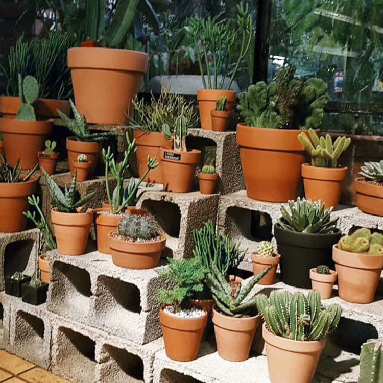 Red Clay Flower Pot International Ceramic Flower Pot Low Temperature High Permeability Succulent Amazon Universal Flower Pot Seedling Pot
