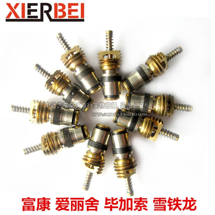 French Cars Fukang Elysee Picasso Citroen Car AC Pipeline Valve Core Valve Needle AC Parts