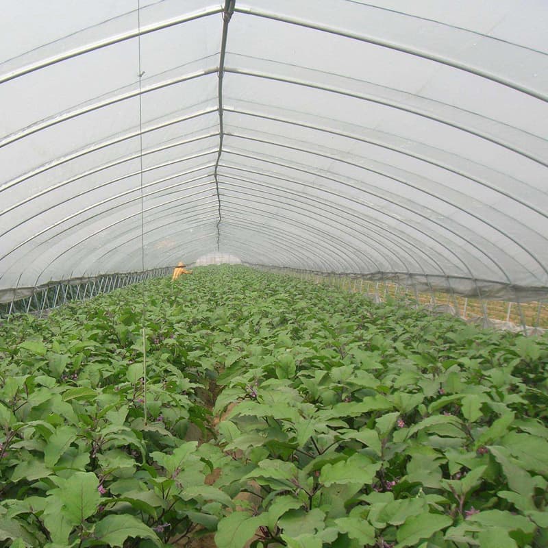 Recruiting agents for agricultural plastic film, multifunctional greenhouse film, agricultural mulch film, watermelon film, strawberry film, vegetable film