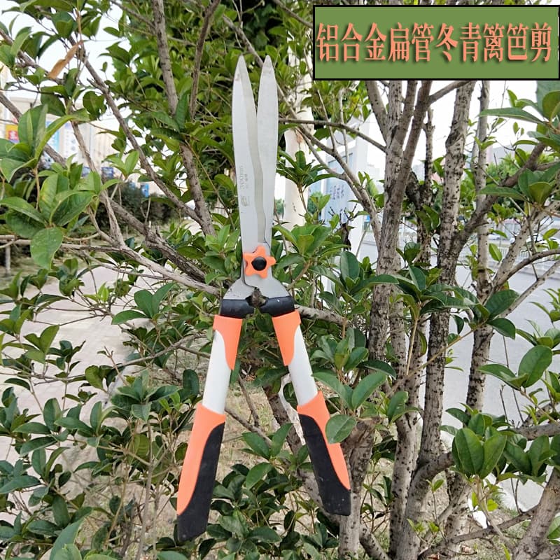 Garden tools: aluminum alloy flat tube pruning shears, hedge trimmers, gardening shears, holly and tea tree shears, lawn shears.