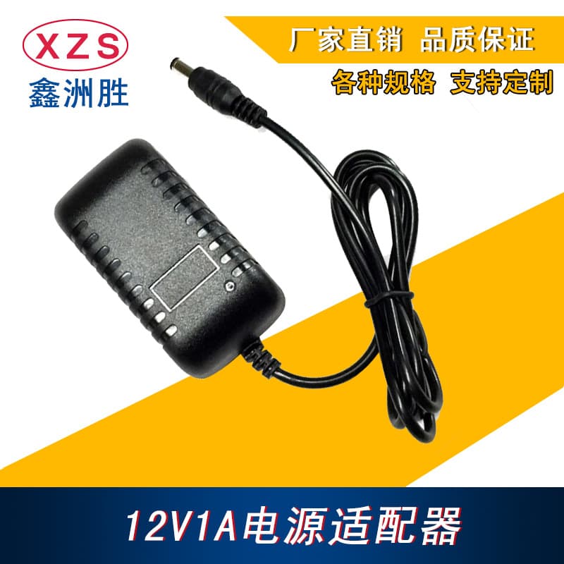 Factory Direct US/EU Plug-in Wall Type 12V 1A Switching Power Adapter 12W LED Light Charger Power
