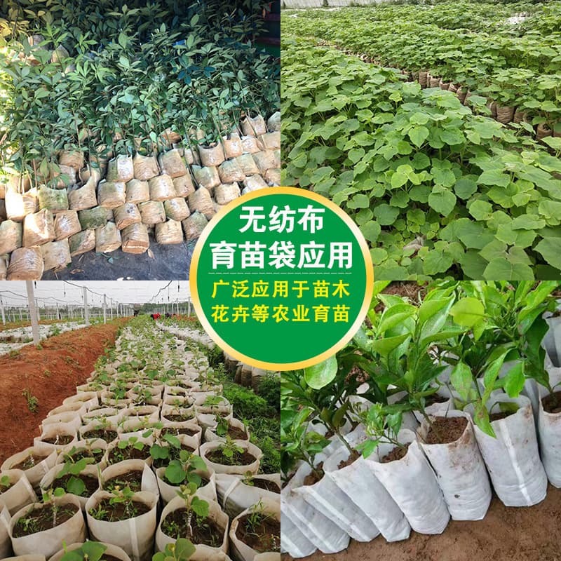 Wholesale Non-Woven Fabric Nursery Bags, Biodegradable Seedling Cups, Hot-Selling Thickened Container Pots for Gardening Planting Bags