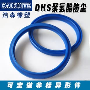 Polyurethane Oil Seal Dust Seal DHS Inner Diameter 11.2-250mm Hydraulic Dust / O-Ring / Oil Seal / PU