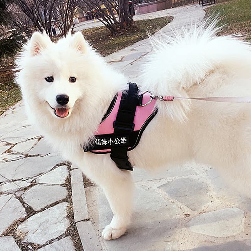 K9 Pet Leash Dog Chest Backpack Harness Lead Rope Dog Chain Pet Supplies