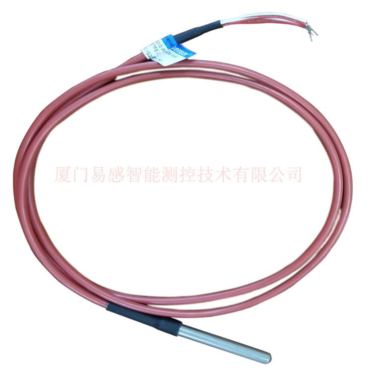 High-Precision Wire Direct Plug-In Thermal Resistor Pt100 Pt1000 Temperature Sensor Factory Direct Sales