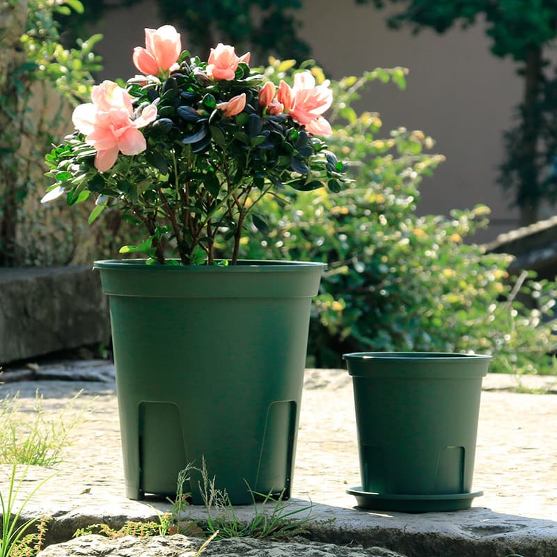 Wholesale Breathable Root Control Pot Rose Flower Pot Plastic Gallon Pot Clematis Flower Pot Tray Domestic Round Qingshan Pot