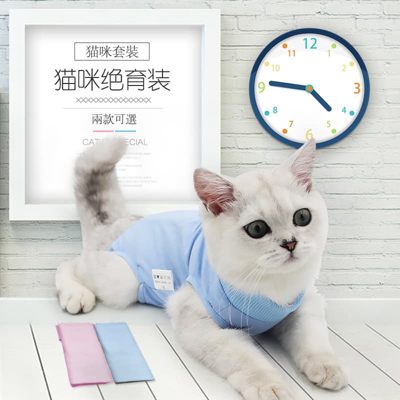 Cross-border Cat Clothes Female Cat Spay Suit Anti-Lick Breathable Elastic Post-Surgery Recovery Suit Pet Recovery Wear