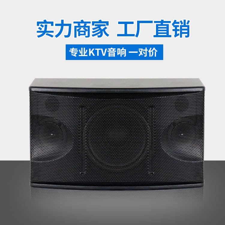 INSIGAI K450 10-inch Home KTV Karaoke Professional Audio Equipment Conference Bar Stage KTV Speaker