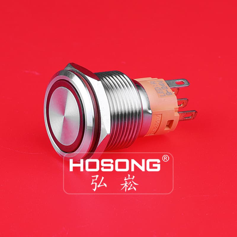 Metal Push Button Switch 19mm Waterproof Self-Locking Self-Resetting with Light 24V 12V 36V HOSONG Button