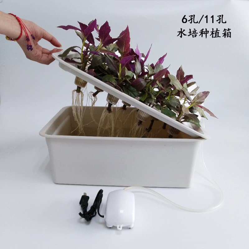 Home Use Static Hydroponics Seedling Box Balcony Vegetable Planting Soilless Cultivation Planting Box