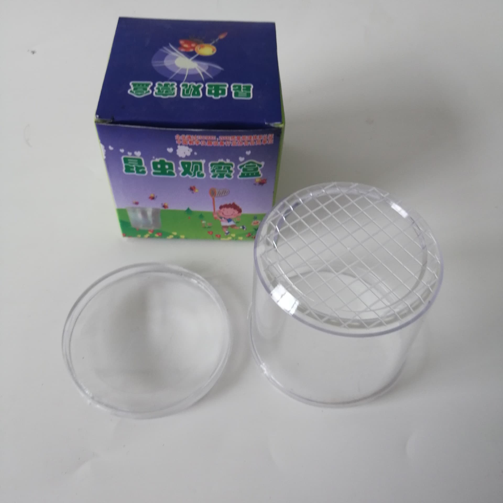 Elementary School Science 29040 Insect Observation Box with at least 3x magnification