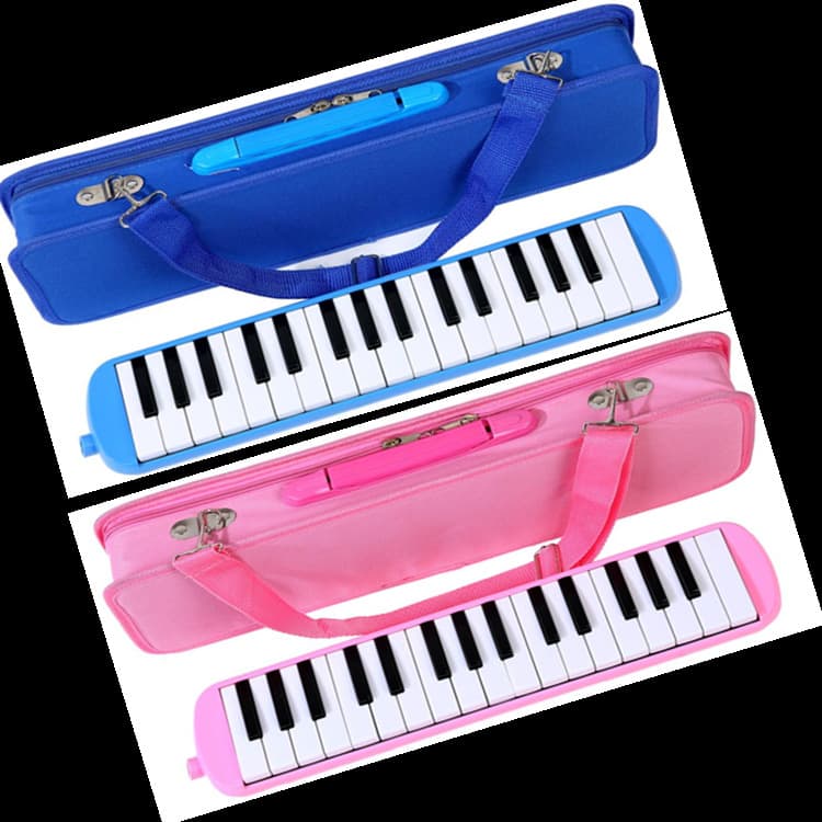 Hard Case 32-key Harmonica for Students, Children's Classroom Beginners, and Adult Performance Instruments Factory Direct