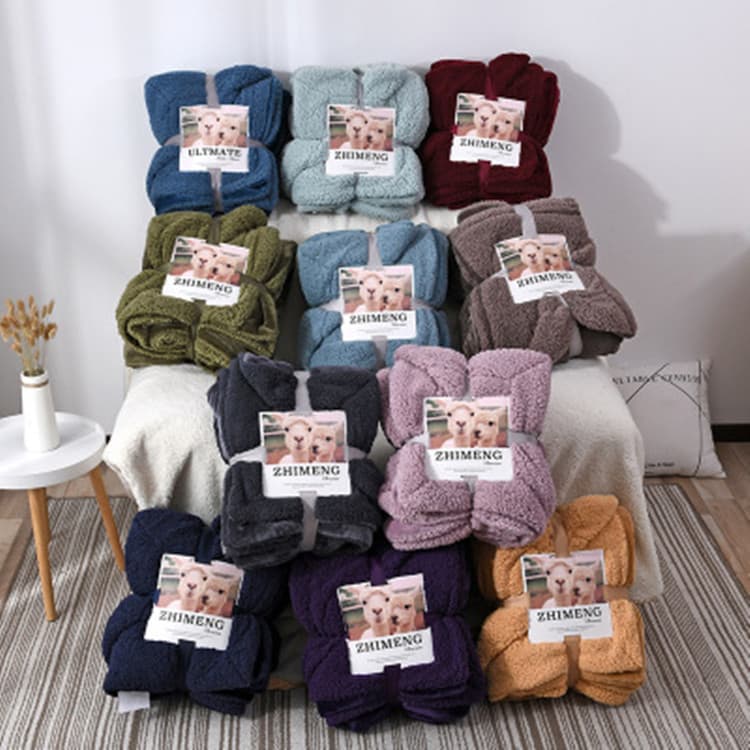 Export European and American flannel blankets, double-layer lamb velvet thickened single and double blankets, coral velvet autumn and winter blankets and quilts