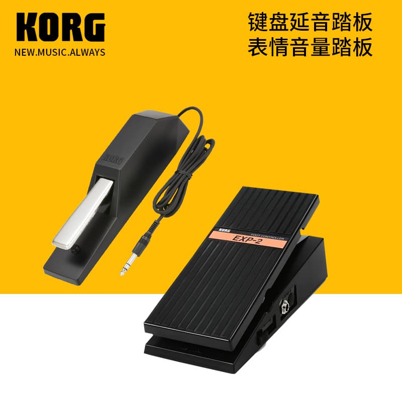 KORG EC5 Expression Keyboard EXP-2 Volume XVP-20 Pedal DS-1H Sustain PS-1/3 Keyboard PU-2