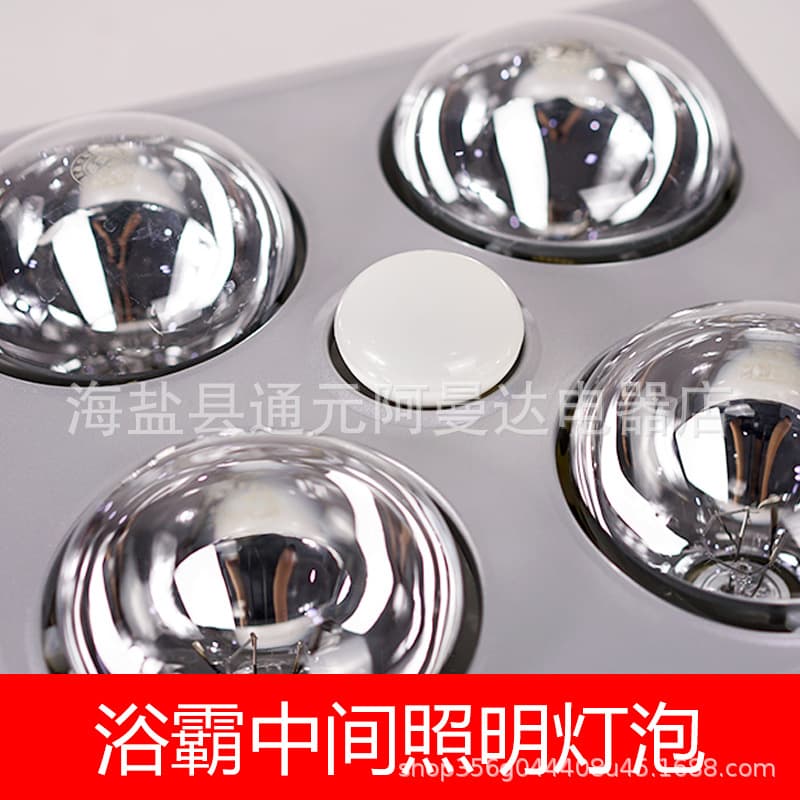 Bath Heater Lighting Bulb 40W Warm Light R63 Waterproof Explosion-Proof Small Animal Pet Heating E27 Screw Base