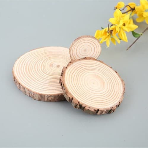Pine wood slice craft round wood slice DIY background wall children early education creative ornament base