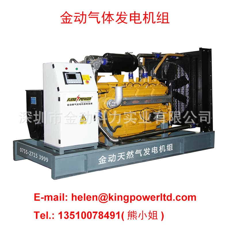 Eco-friendly Generator Set 10-300KVA Natural Gas Generator Set for Gas Stations Gas Generator Set
