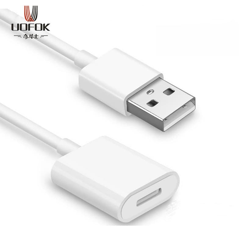 Cross Border Applicable Apple Pencil Pencil USB to Lightning Female Capacitive Pen Charging Line Extension Cable