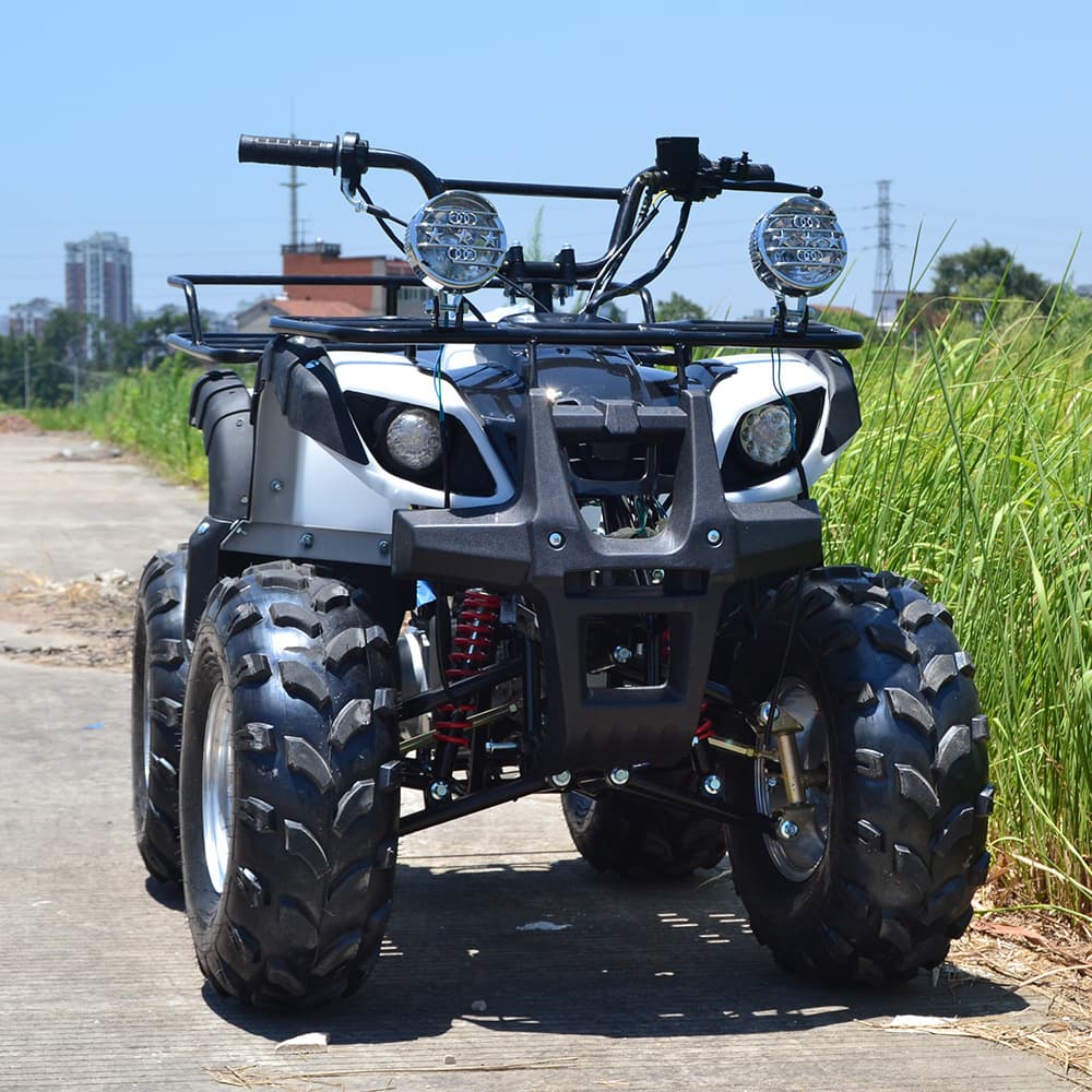 Custom 4-Wheel Beach Buggy 8-Inch Bull 125CC ATV Off-Road Quad Bike
