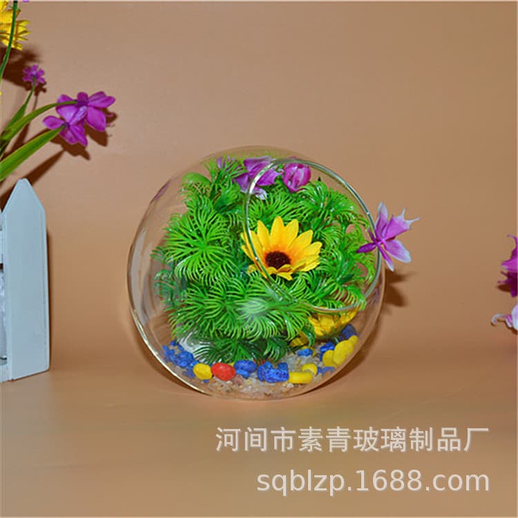 Transparent Glass Slanted Mouth Vase for Miniature Landscaping DIY Succulent Plants Hydroponic Container Modern Home Decorative Ornament