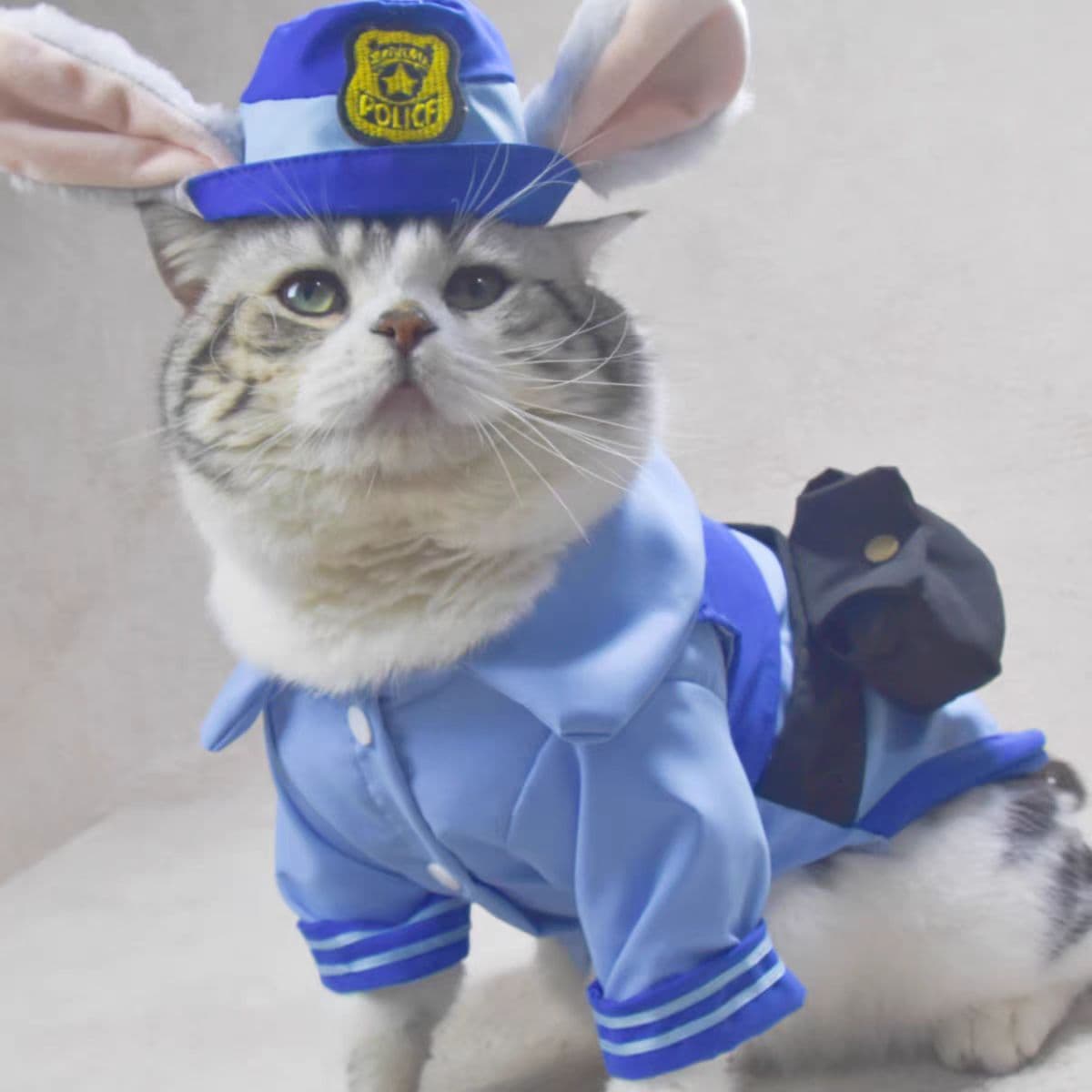 Zootopia Series Dog and Cat Clothes Rabbit Cosplay Costume Dog Transformation Costume Pet Police Officer Costume