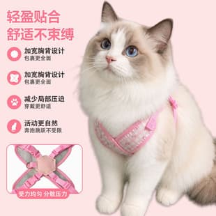 Wholesale Pet Harness Leash, Cat Chest Harness, for Teddy, Bichon, Pomeranian, Small Dog Harness, Fresh Style Chest Harness