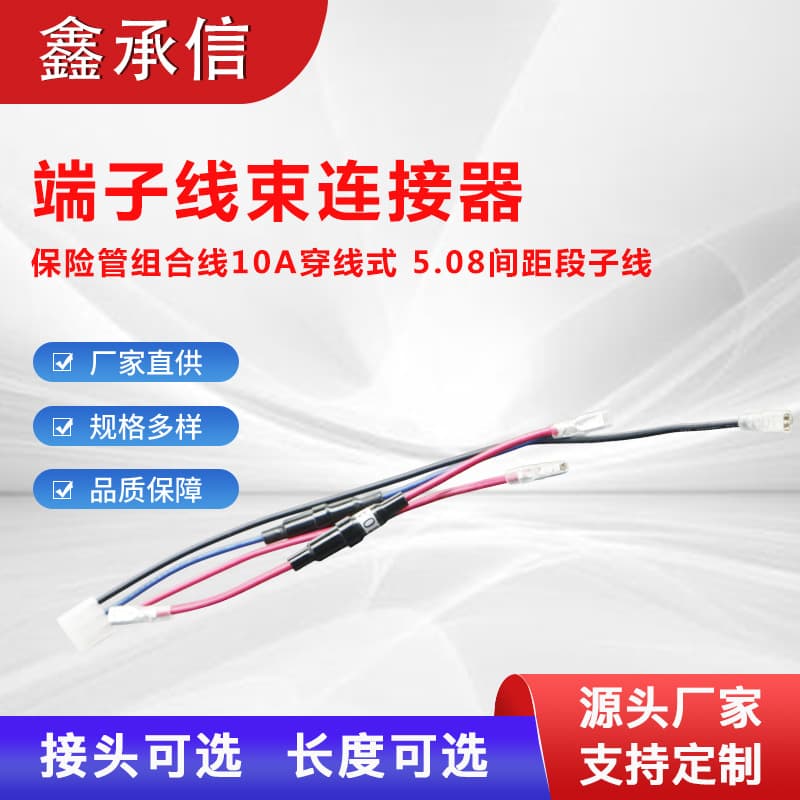 10A Wire-Through Fuse Combination Wire Connector Custom Automotive Direct Plug Terminal Non-Standard Customizable