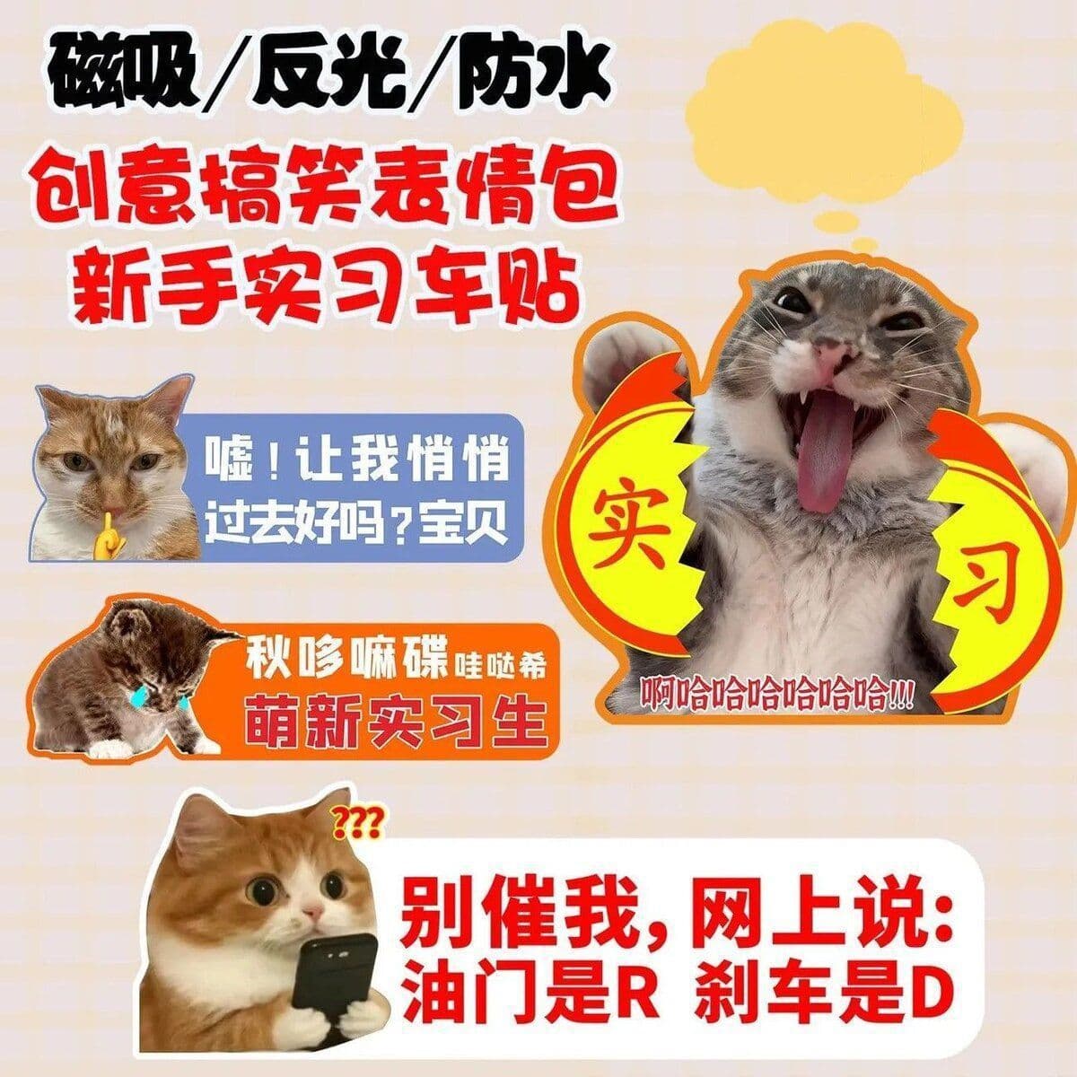 Cat Creative Funny Car Decal New Driver Decorative Magnetic Sticker Reflective Practice Sign Rear Warning Sticker