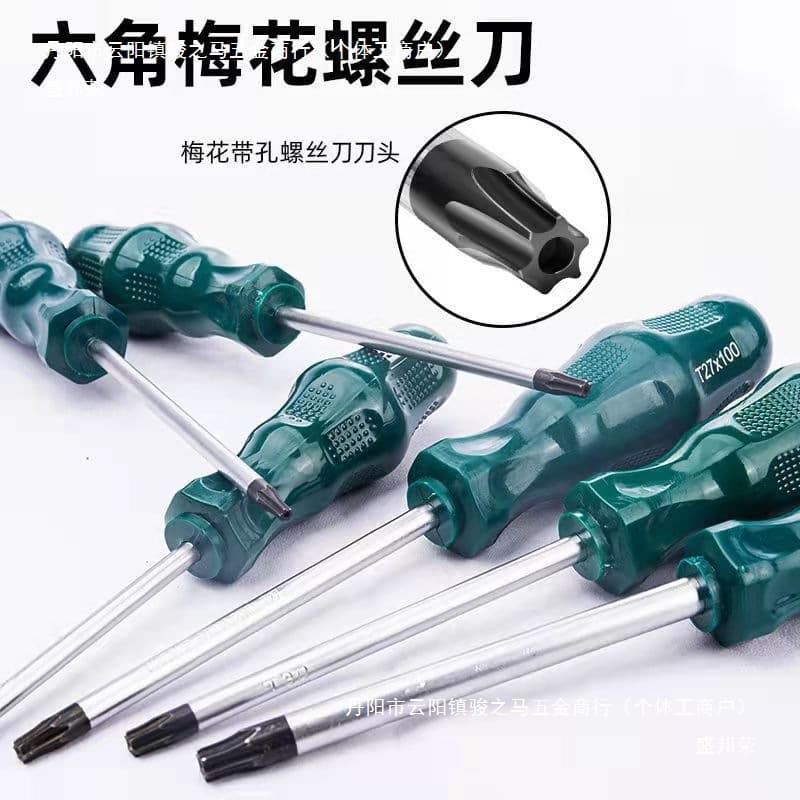 Green T20 Torx screwdriver, T8 Phillips, T10 hex, T25, T15 hex socket, T30, T40.