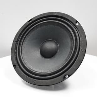 TYR-0604-0066 6.5-Inch 80mm Magnet 19mm Core Outdoor Speaker