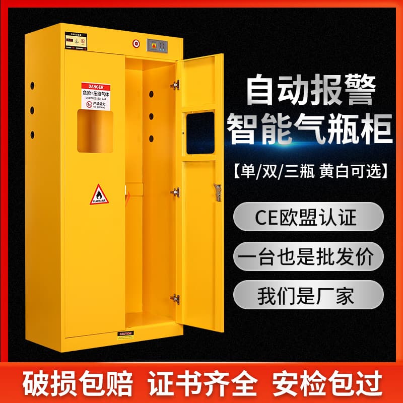 All-Steel Explosion-proof Gas Cylinder Cabinet, Safety Cabinet, Laboratory Double-Cylinder Cabinet, Acetylene Hazardous Chemical Storage with Alarm