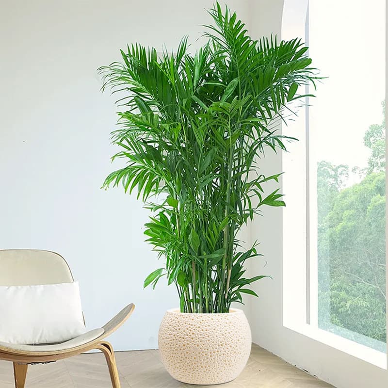 Large Spherical Flower Pot with a Simple, Luxurious, and High-End Feel, Made of Thick Resin, Suitable for Lilies, Bamboo, and Rubber Trees