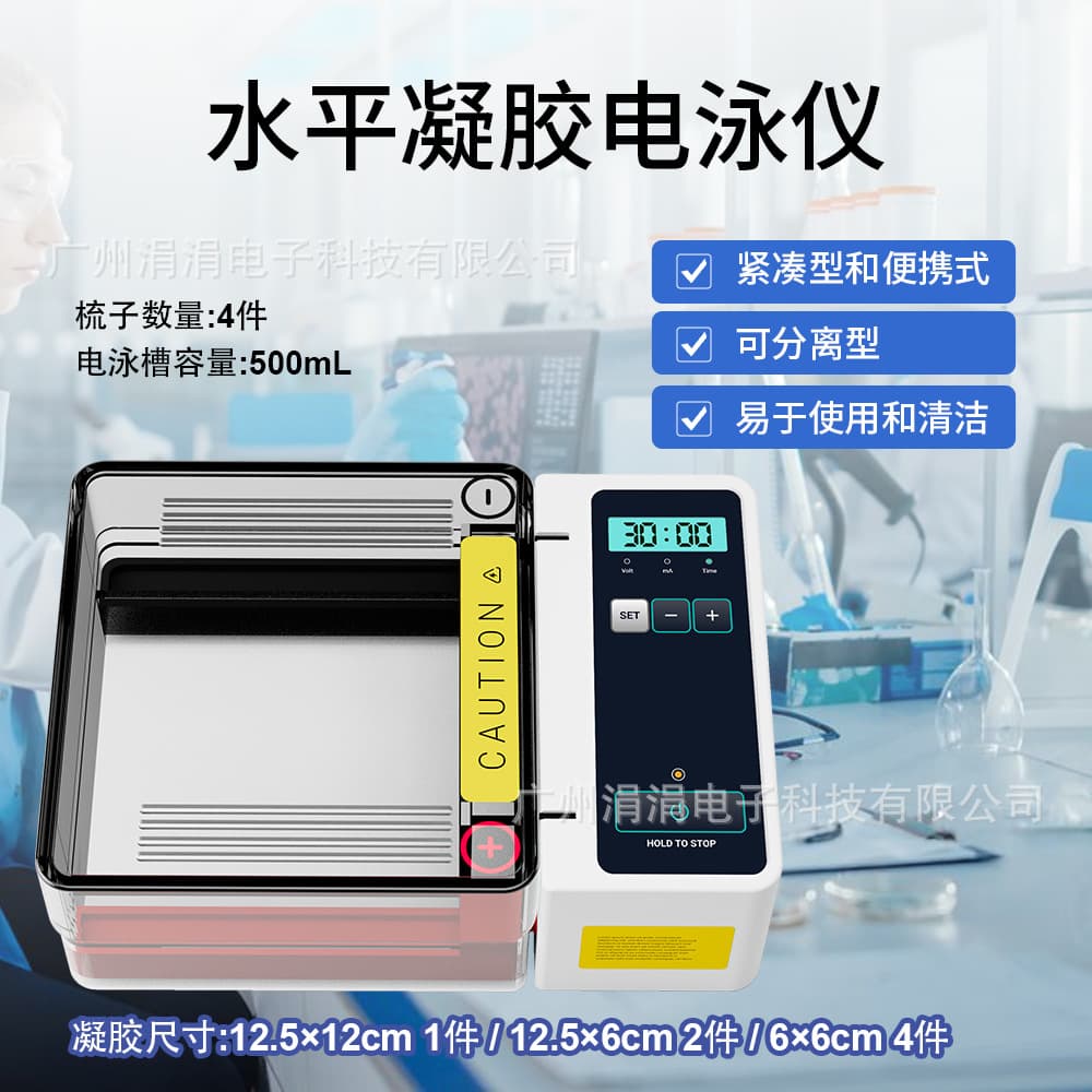 Laboratory Horizontal Gel Electrophoresis System, Rapid Gel Preparation 500ml Capacity for Nucleic Acid Electrophoresis P150H