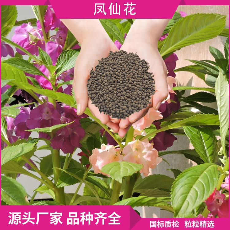 Impatiens flower seeds, home gardening flower seeds, annual flowers, potted henna plants, multi-color and easy to live