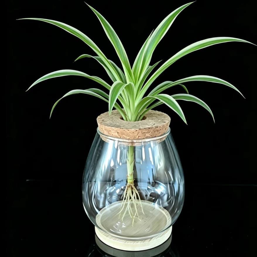 Micro-landscape glass vase, underwater landscaping, hydroponics vase, children's parent-child games, fashion diy handmade accessories