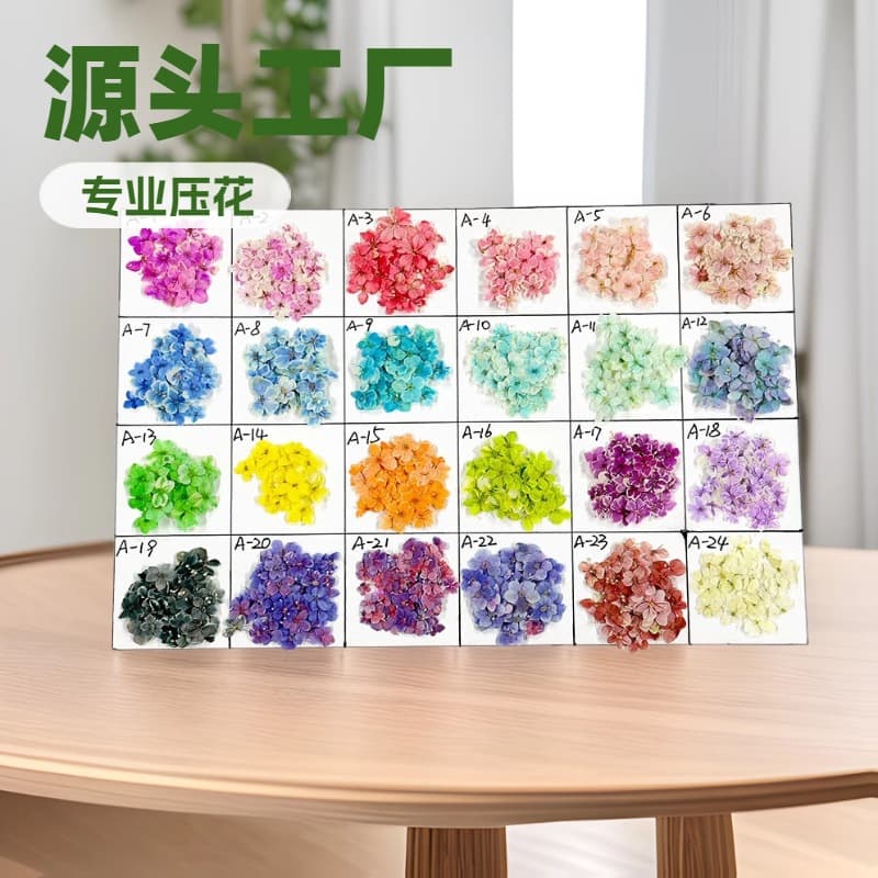 Japanese-style Instagram-worthy mini dried flower nail art, natural pressed flowers, dried flowers, factory wholesale, wearable nail art real flowers.