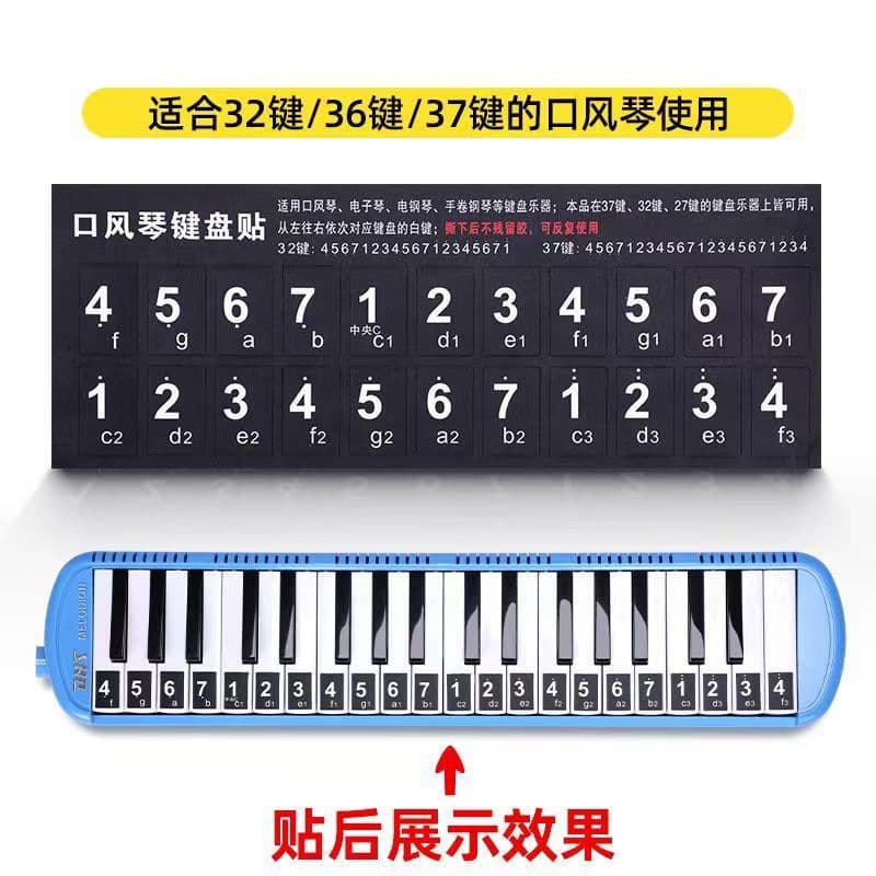 Melodica Keyboard Sticker 27-key 32-key 37-key Student Auxiliary Sticker Accessory Sheet Music Helper