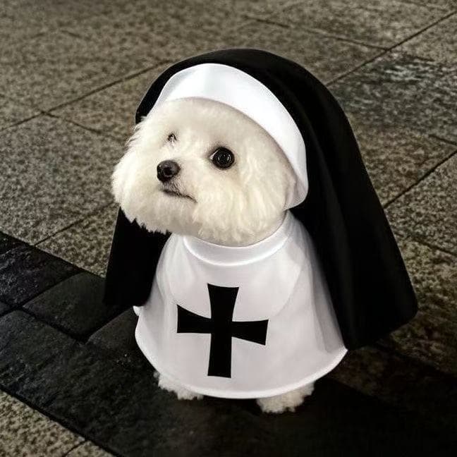 Dog Nun Costume Cat Dog Dress Up Funny Cosplay Photo Prop for Small and Medium Pets Cat Funny Outfit