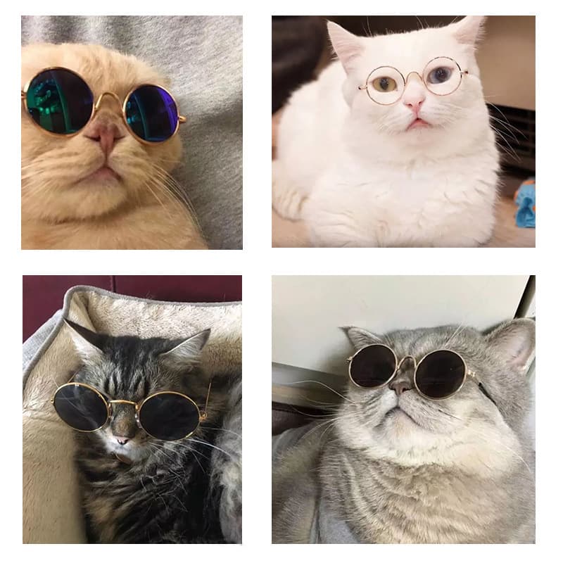 Creative Trendy Cat Sunglasses for Pet Supplies, Cotton Doll, Plush Toy, Metal Frame Sunglasses