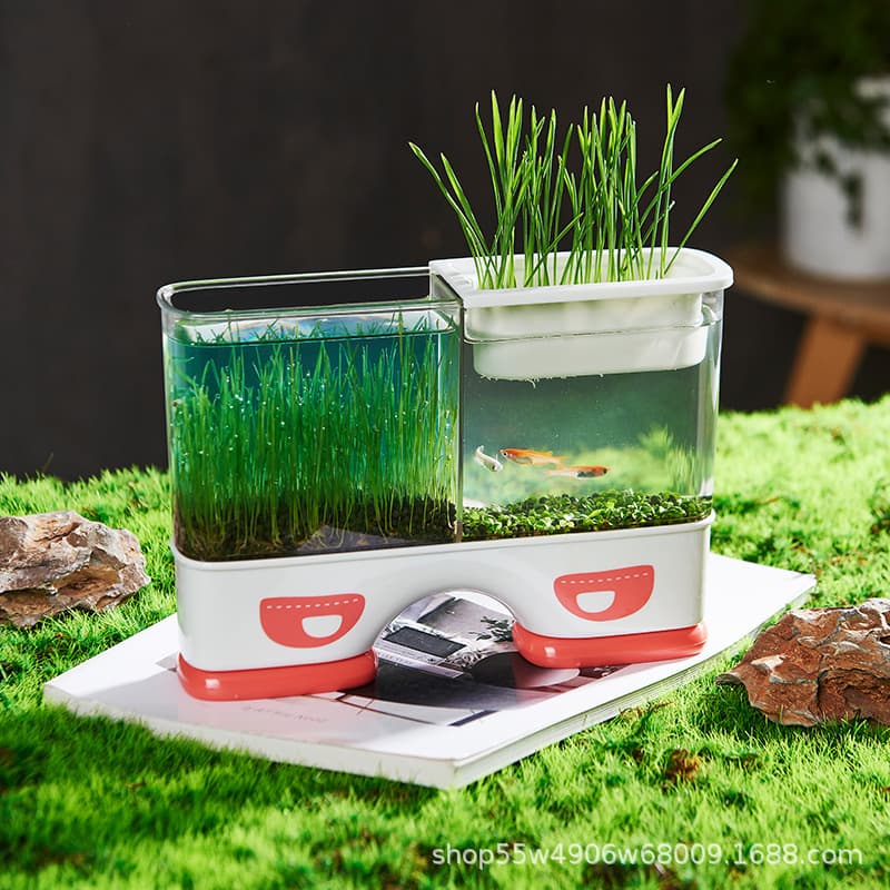 Kids Transparent Planting Box Mini Greenhouse for Seed Germination and Root Growth, Hydroponic Container with Planting Basket