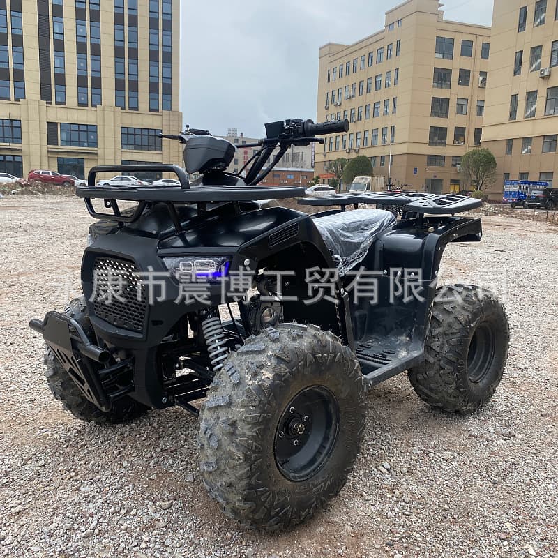 ATV110CC QIYE All-Terrain Beach Off-Road Vehicle Four-Wheel Buggy Adult Sand Cart